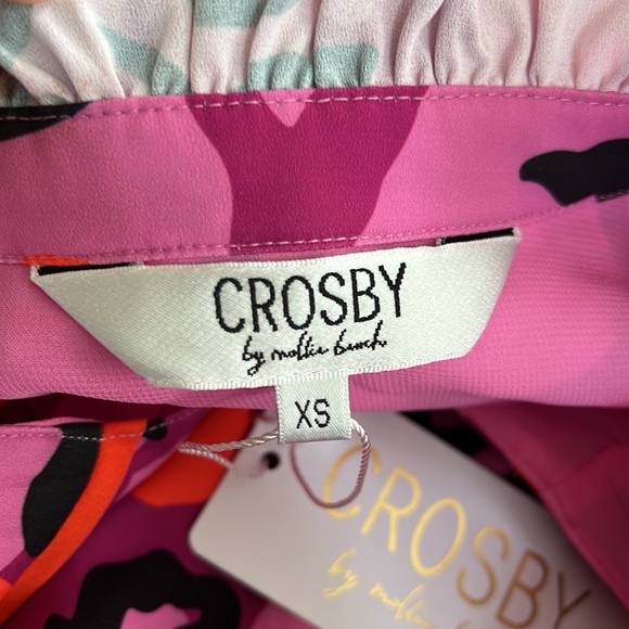 Tuckernuck Pink and Black Maxi Dress - Picture 9 of 12